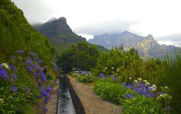 Machico Nature Eksteriør billede